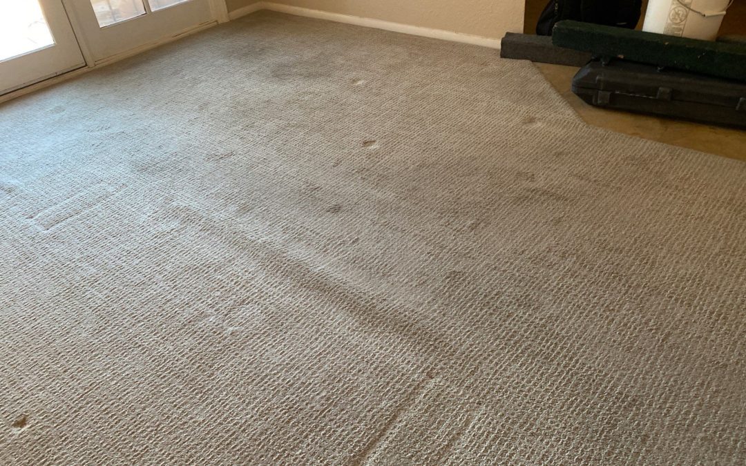 Professional Carpet Stretching in Phoenix: Eliminating a Carpet Bump with Power Stretching